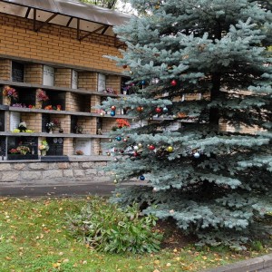 image006