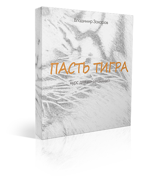 «Пасть Тигра: форма и формулы»