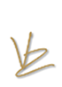 logotype